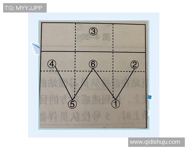 深入分析广州排球队的进攻策略与战术特点解析
