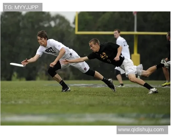 武汉飞盘队速度之争引发热议球迷与专家各执己见