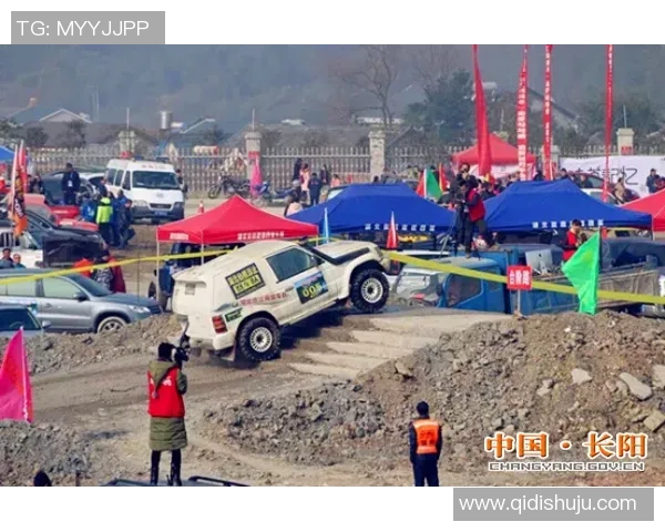 飞盘运动的崛起与吴伟的成功秘诀深度探讨